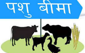 पशु बिमा